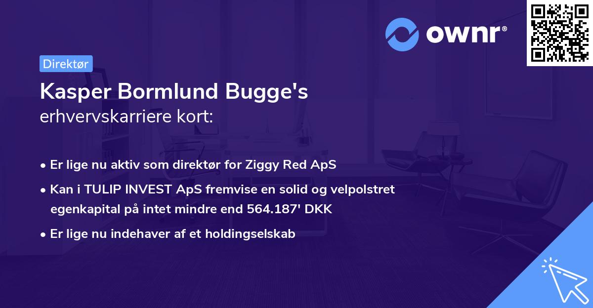 Kasper Bormlund Bugge's erhvervskarriere kort