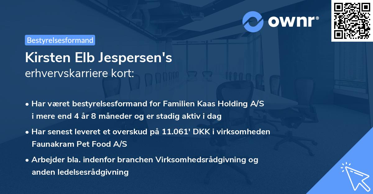 Kirsten Elb Jespersen's erhvervskarriere kort