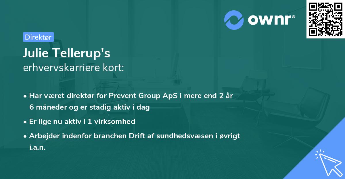 Julie Tellerup's erhvervskarriere kort