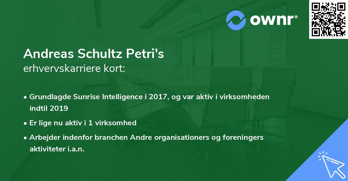 Andreas Schultz Petri's erhvervskarriere kort