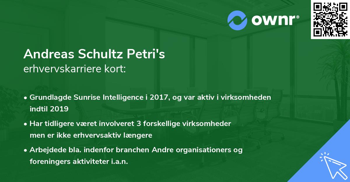 Andreas Schultz Petri's erhvervskarriere kort