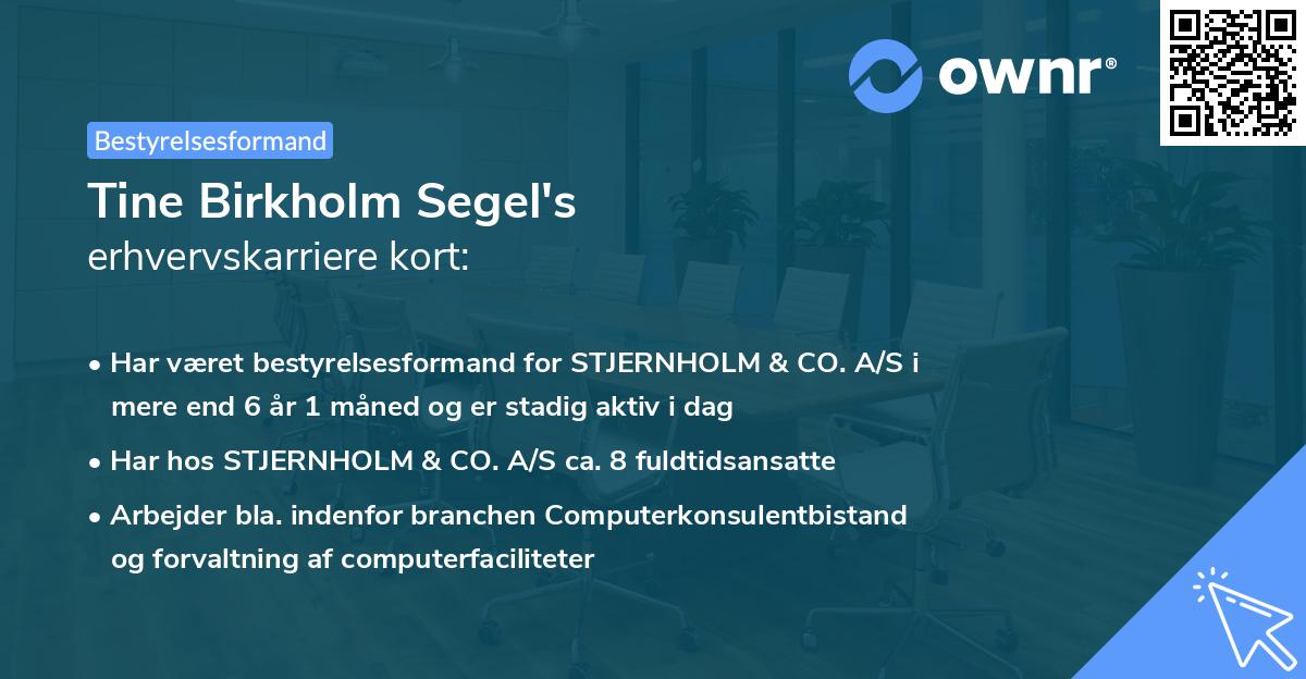 Tine Birkholm Segel's erhvervskarriere kort