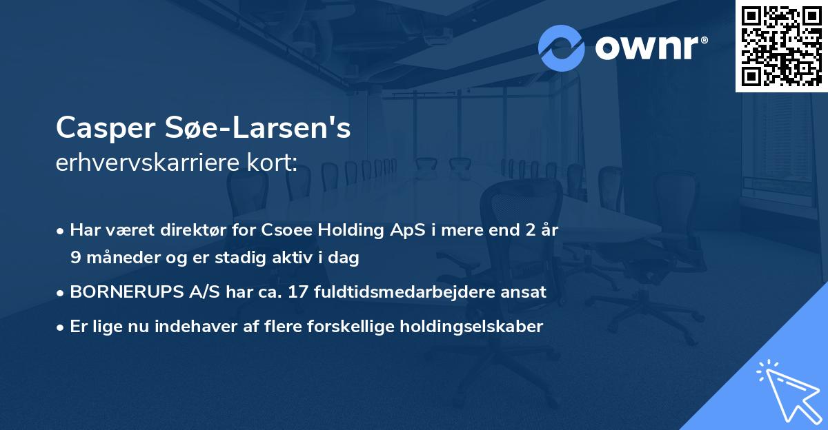 Casper Søe-Larsen's erhvervskarriere kort