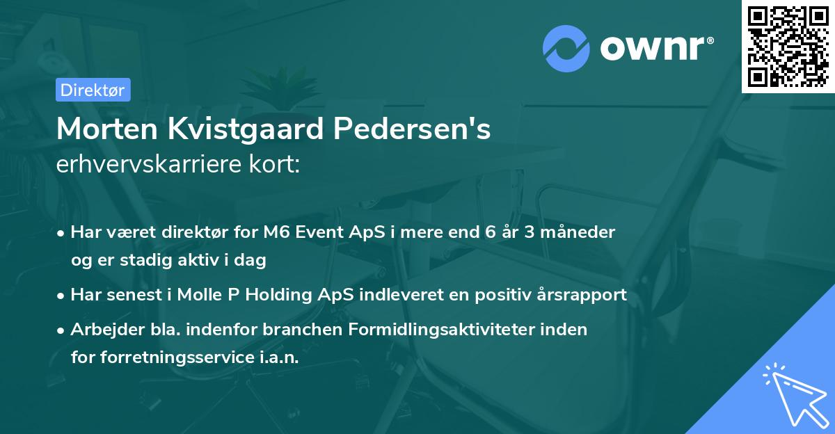 Morten Kvistgaard Pedersen's erhvervskarriere kort