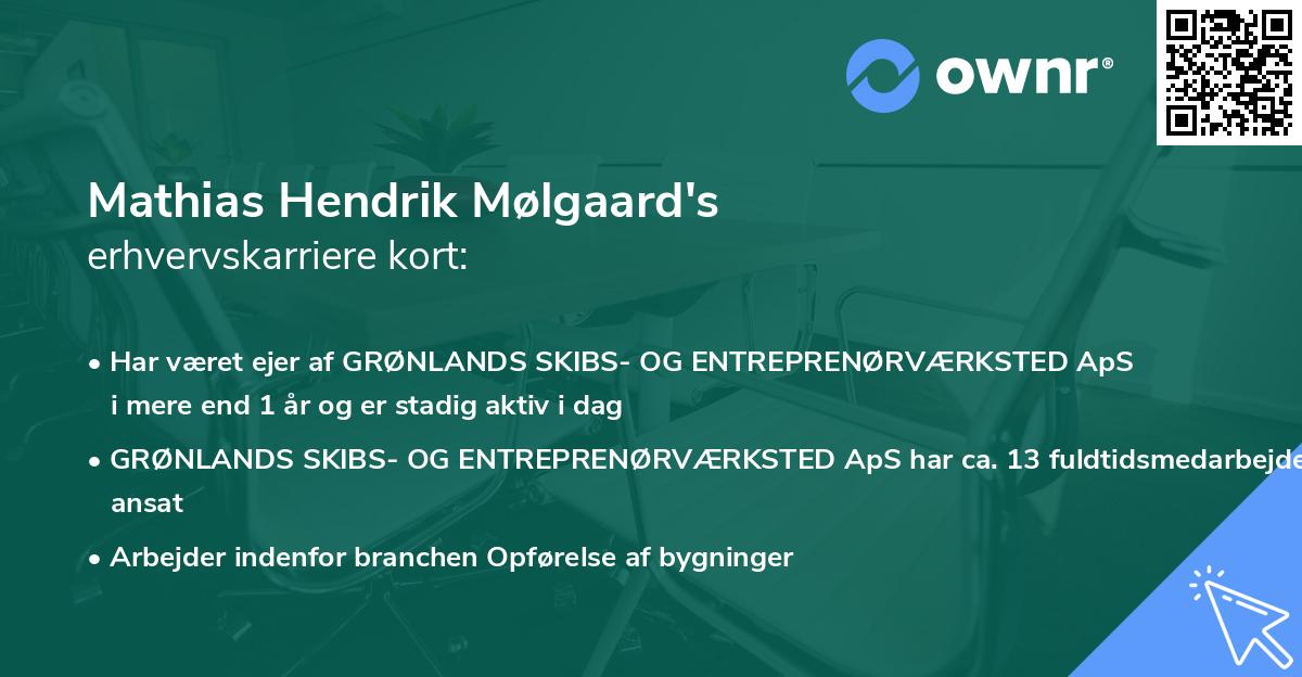 Mathias Hendrik Mølgaard's erhvervskarriere kort