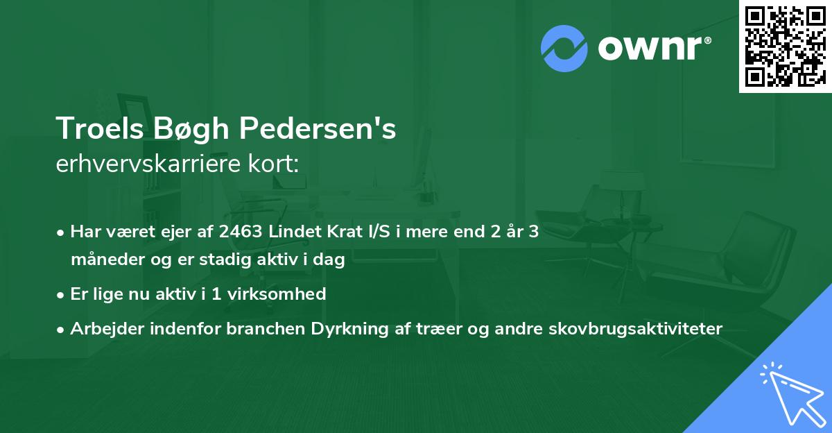 Troels Bøgh Pedersen's erhvervskarriere kort