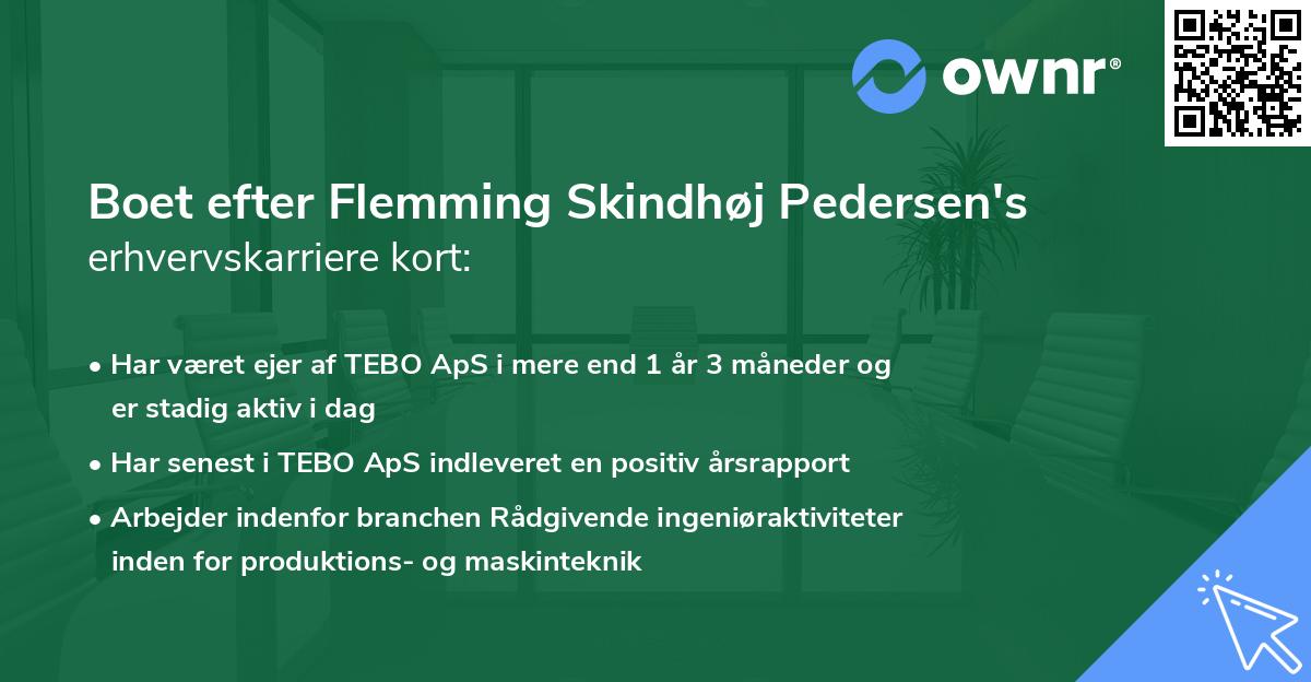 Boet efter Flemming Skindhøj Pedersen's erhvervskarriere kort