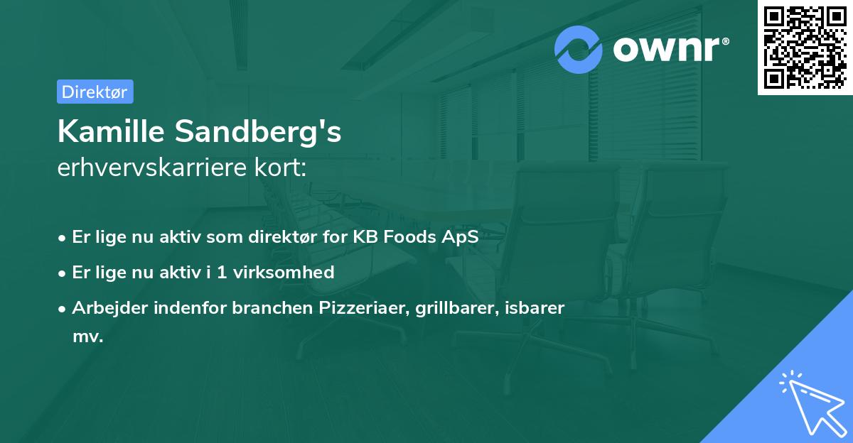 Kamille Sandberg's erhvervskarriere kort