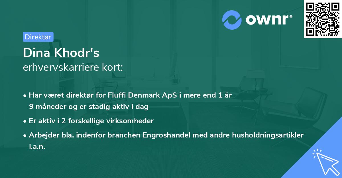 Dina Khodr's erhvervskarriere kort