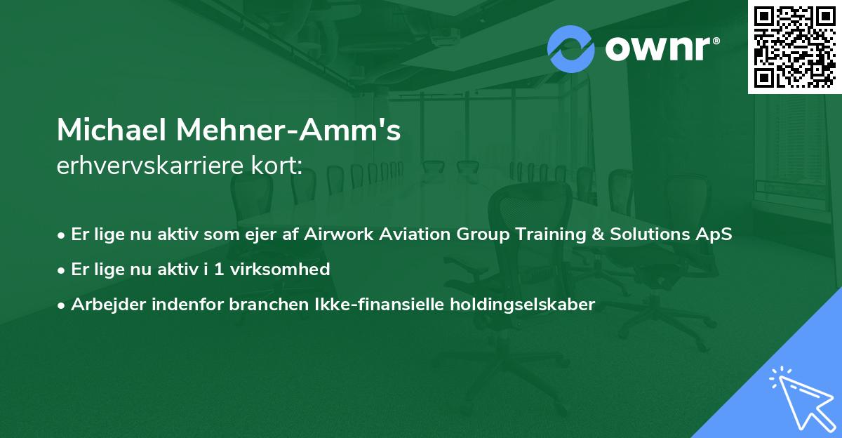 Michael Mehner-Amm's erhvervskarriere kort