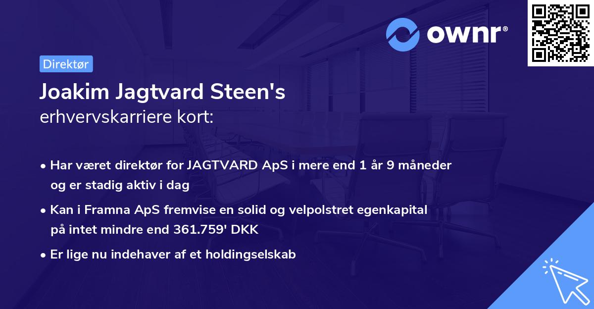 Joakim Jagtvard Steen's erhvervskarriere kort