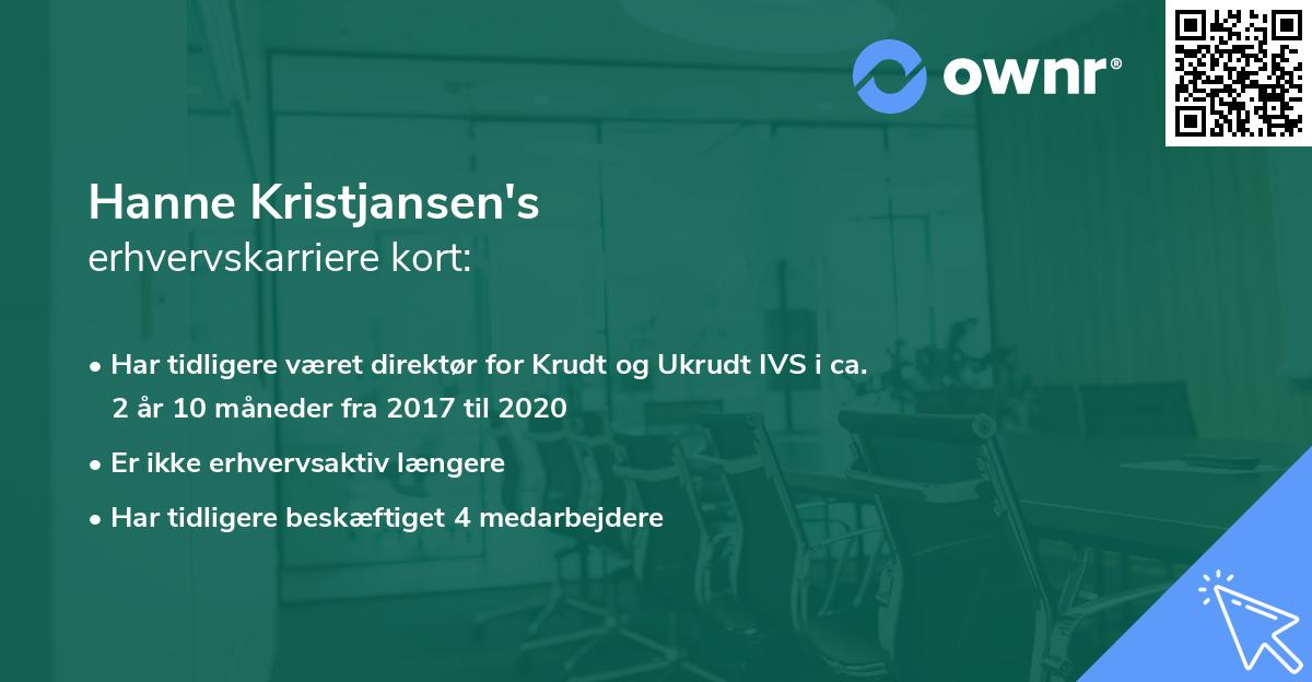 Hanne Kristjansen's erhvervskarriere kort