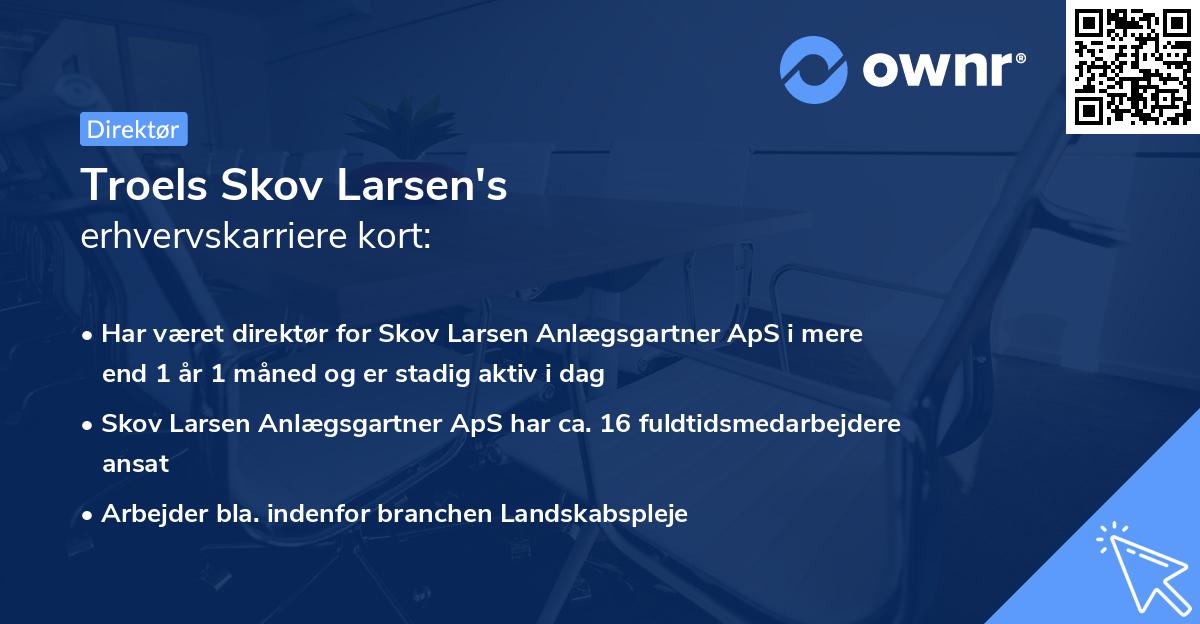 Troels Skov Larsen's erhvervskarriere kort