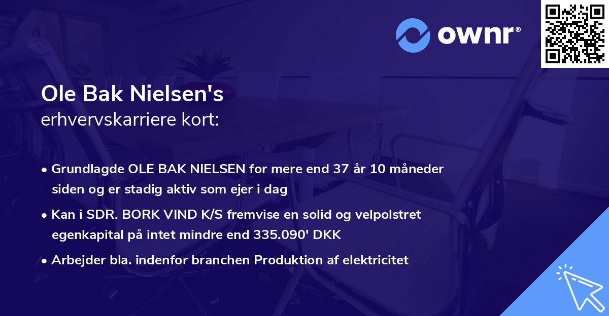 Ole Bak Nielsen's erhvervskarriere kort