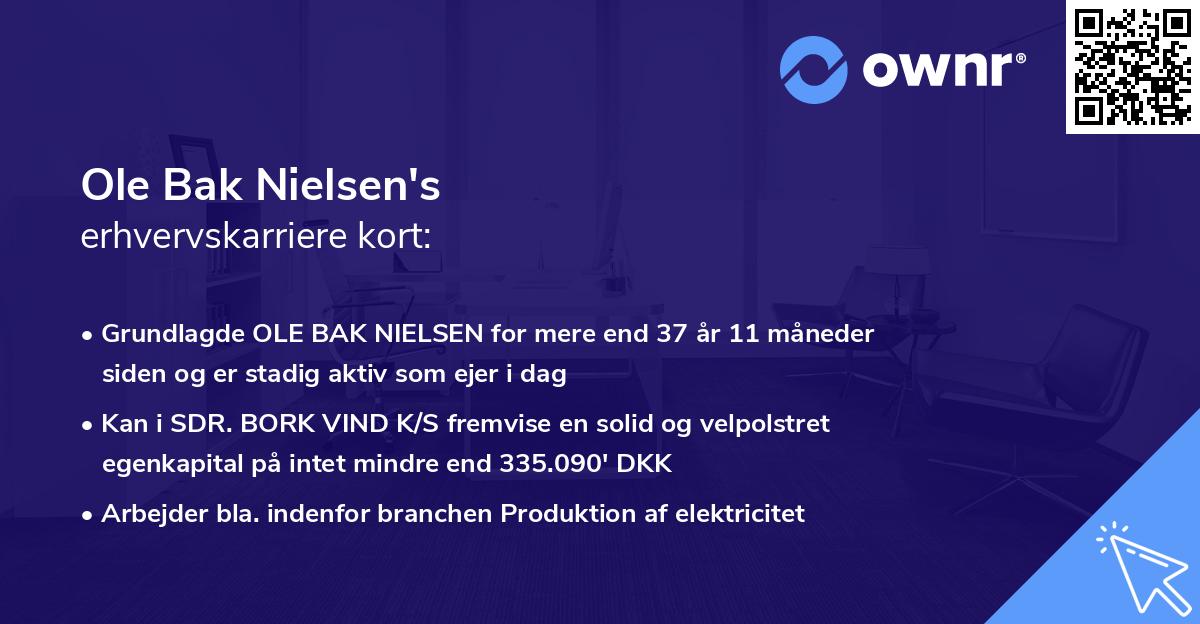 Ole Bak Nielsen's erhvervskarriere kort