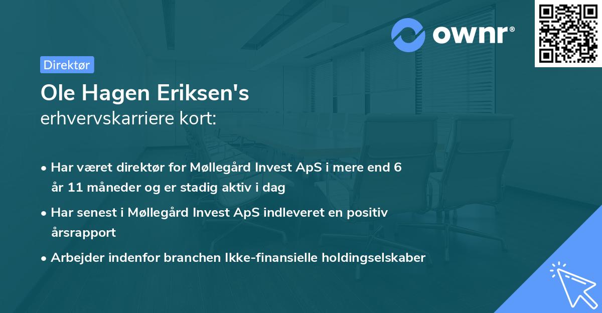 Ole Hagen Eriksen's erhvervskarriere kort