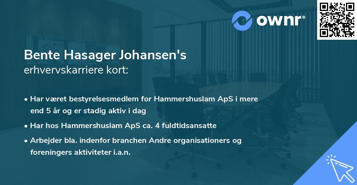 Bente Hasager Johansen's erhvervskarriere kort