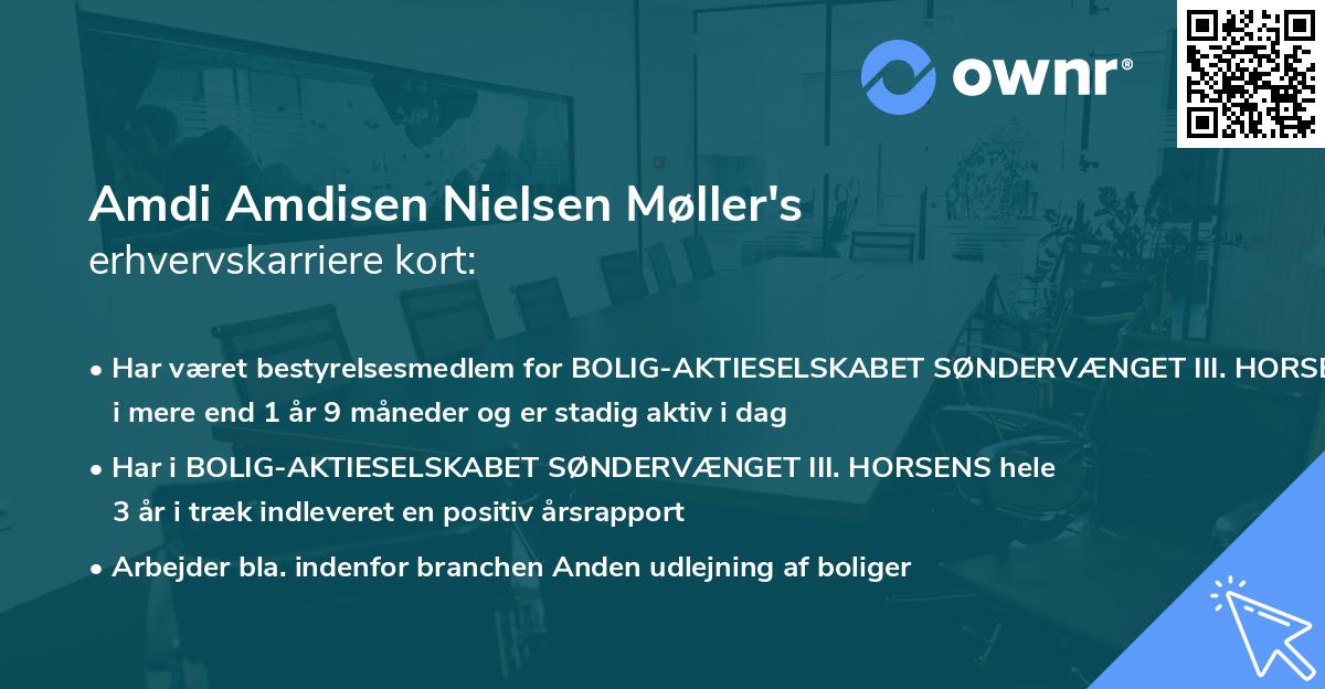 Amdi Amdisen Nielsen Møller's erhvervskarriere kort