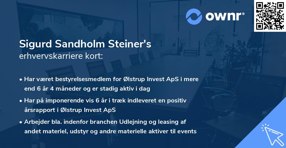 Sigurd Sandholm Steiner's erhvervskarriere kort