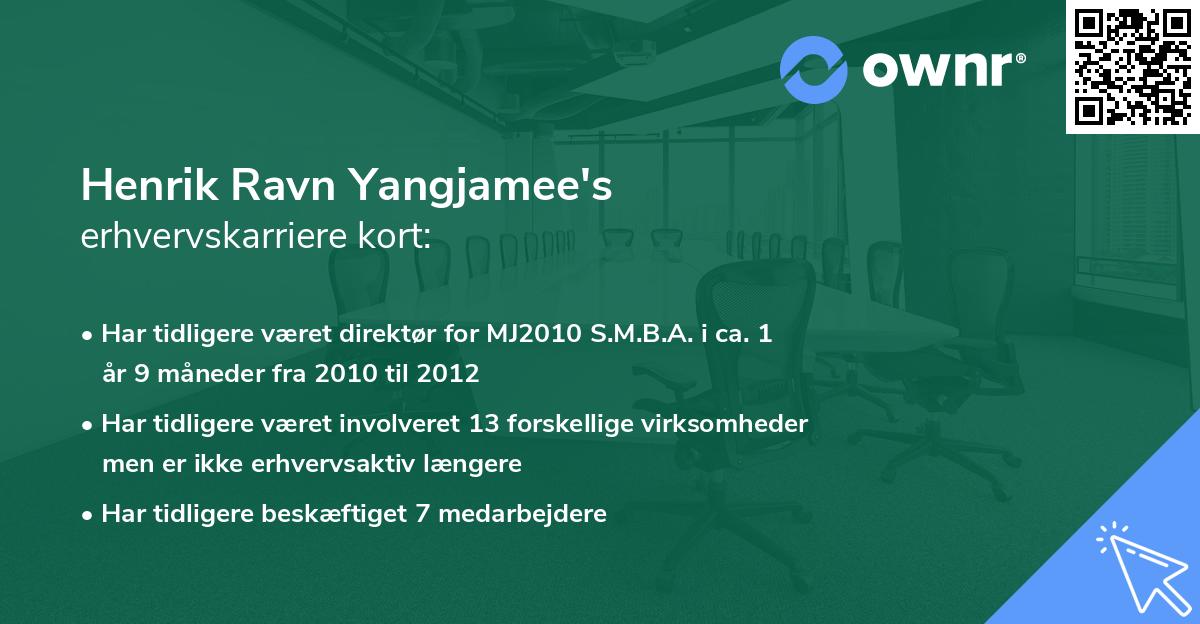 Henrik Ravn Yangjamee's erhvervskarriere kort