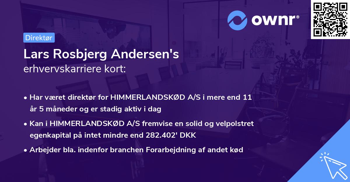 Lars Rosbjerg Andersen's erhvervskarriere kort