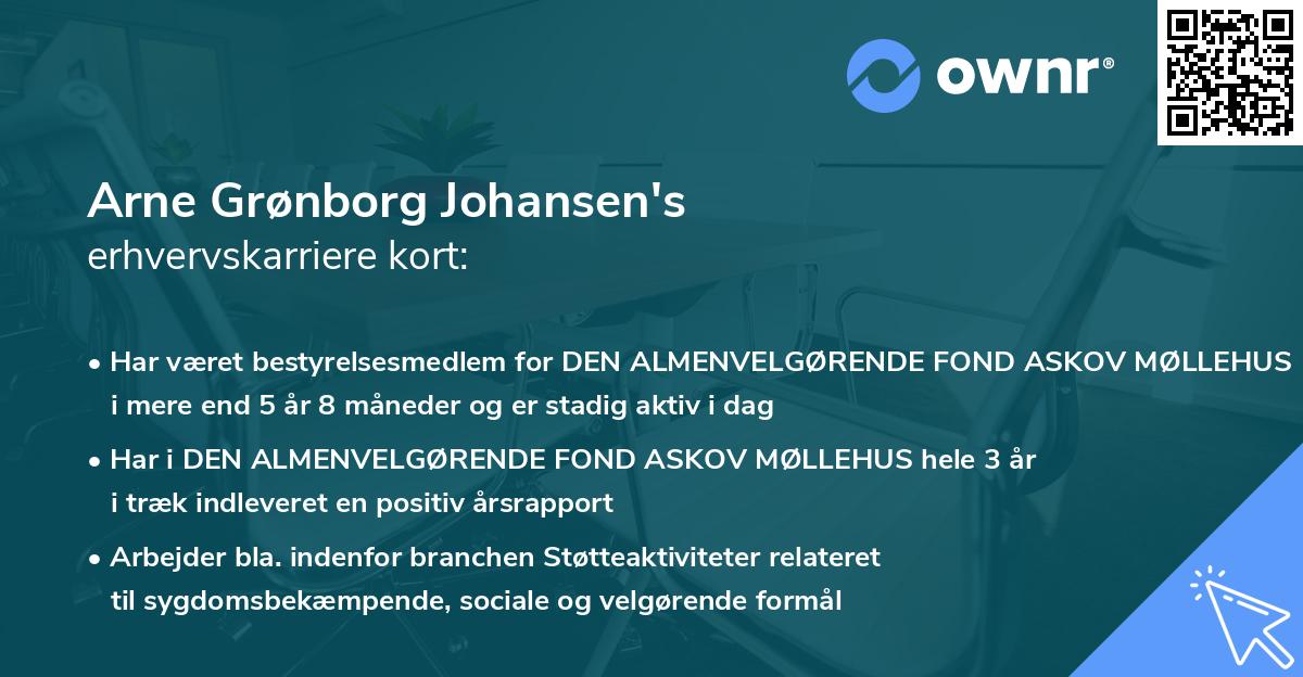 Arne Grønborg Johansen's erhvervskarriere kort