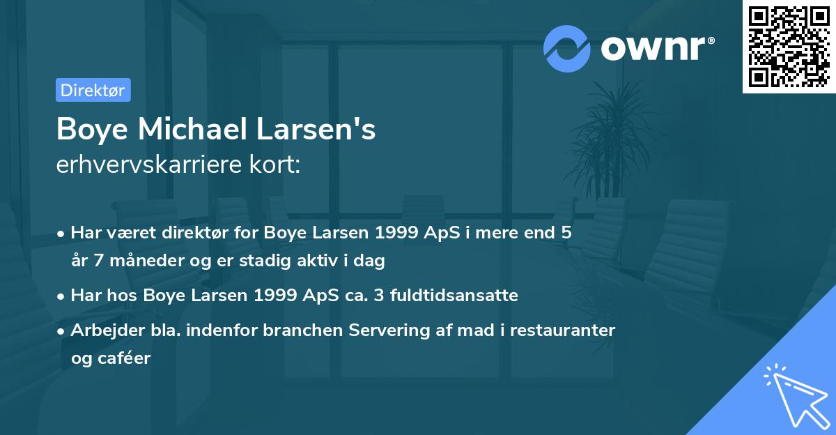 Boye Michael Larsen's erhvervskarriere kort