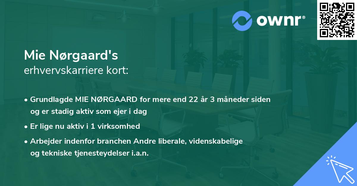 Mie Nørgaard's erhvervskarriere kort