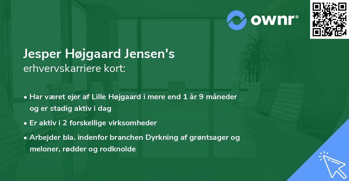 Jesper Højgaard Jensen's erhvervskarriere kort