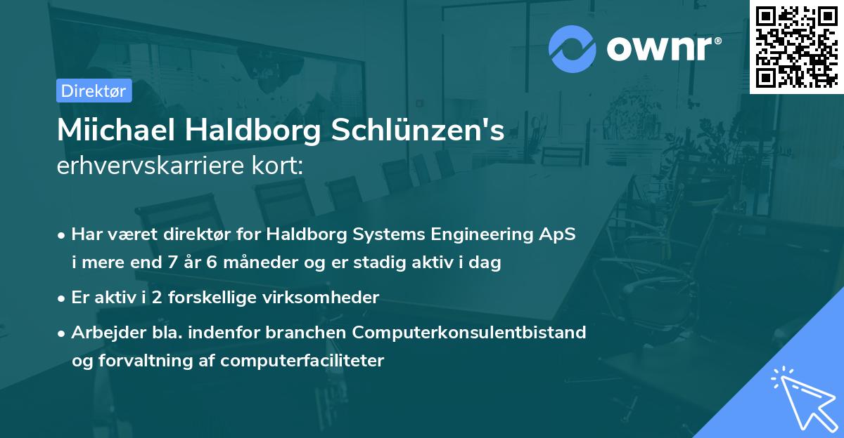 Miichael Haldborg Schlünzen's erhvervskarriere kort