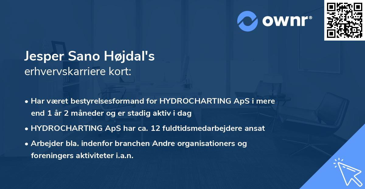 Jesper Sano Højdal's erhvervskarriere kort