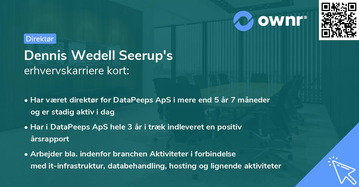 Dennis Wedell Seerup's erhvervskarriere kort