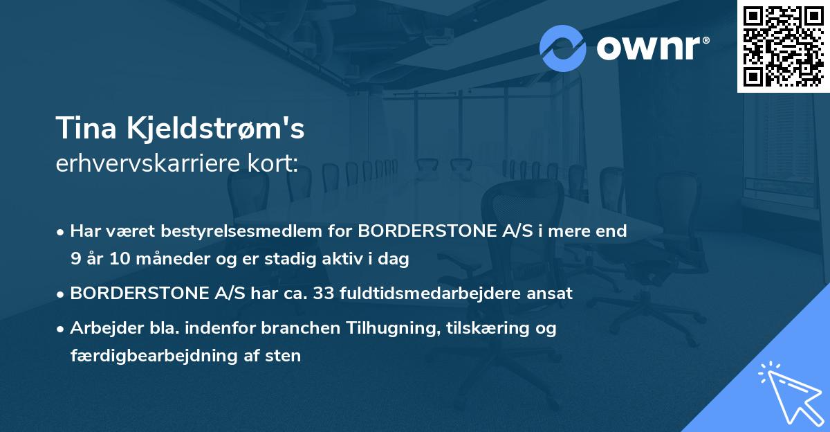 Tina Kjeldstrøm's erhvervskarriere kort