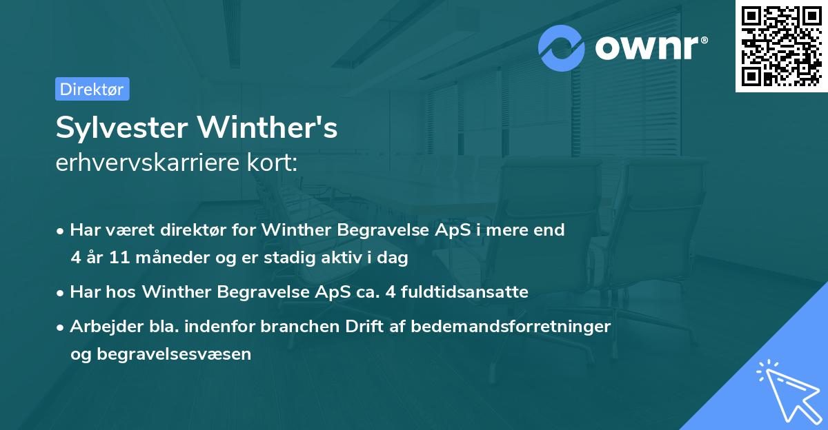 Sylvester Winther's erhvervskarriere kort