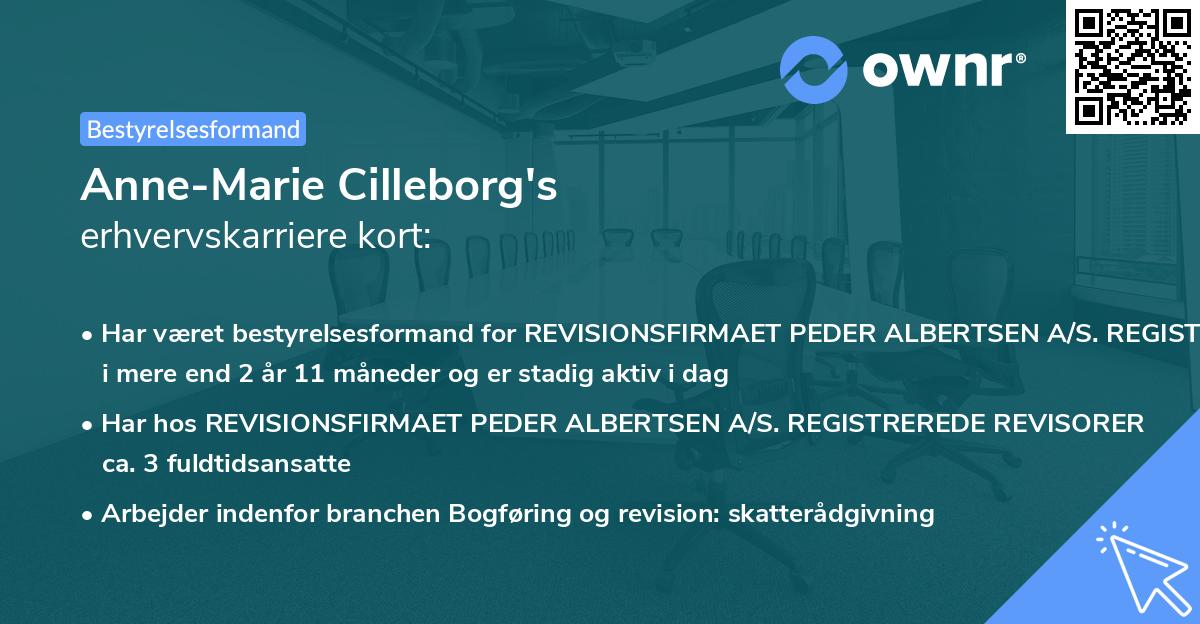 Anne-Marie Cilleborg's erhvervskarriere kort