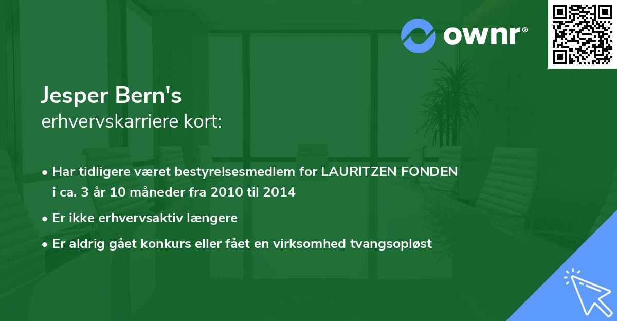 Jesper Bern's erhvervskarriere kort