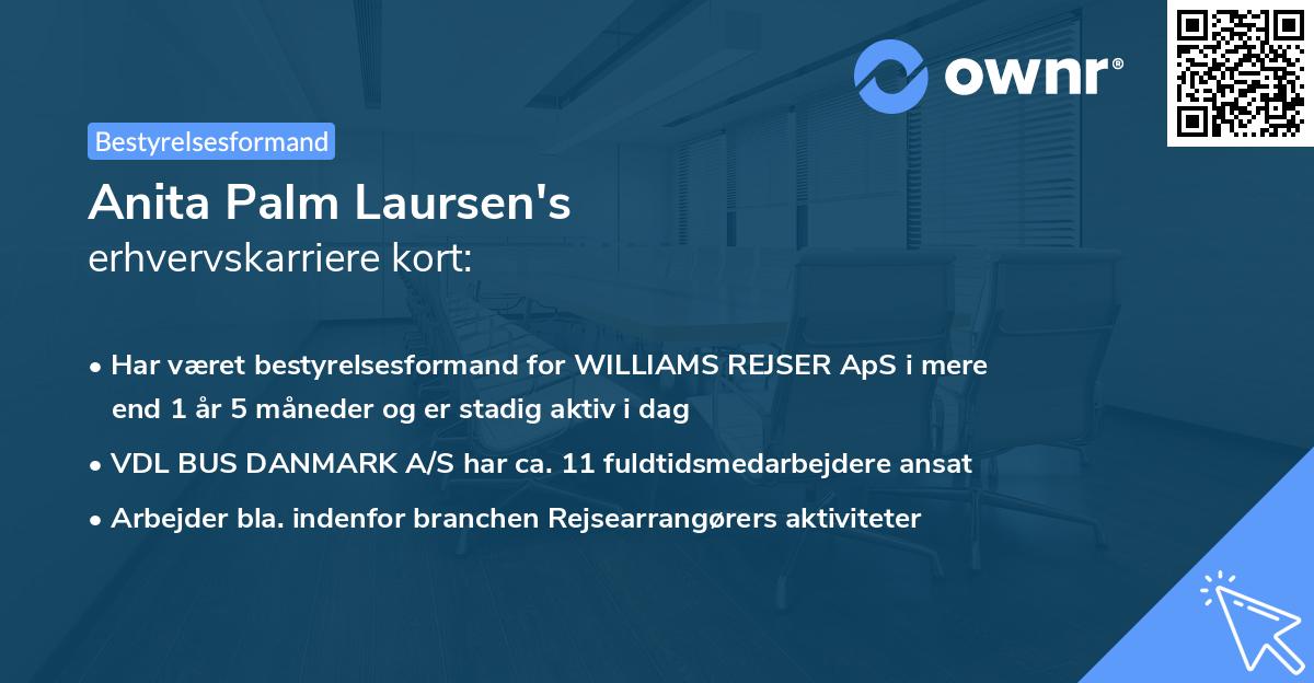 Anita Palm Laursen's erhvervskarriere kort