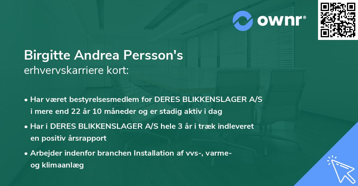 Birgitte Andrea Persson's erhvervskarriere kort