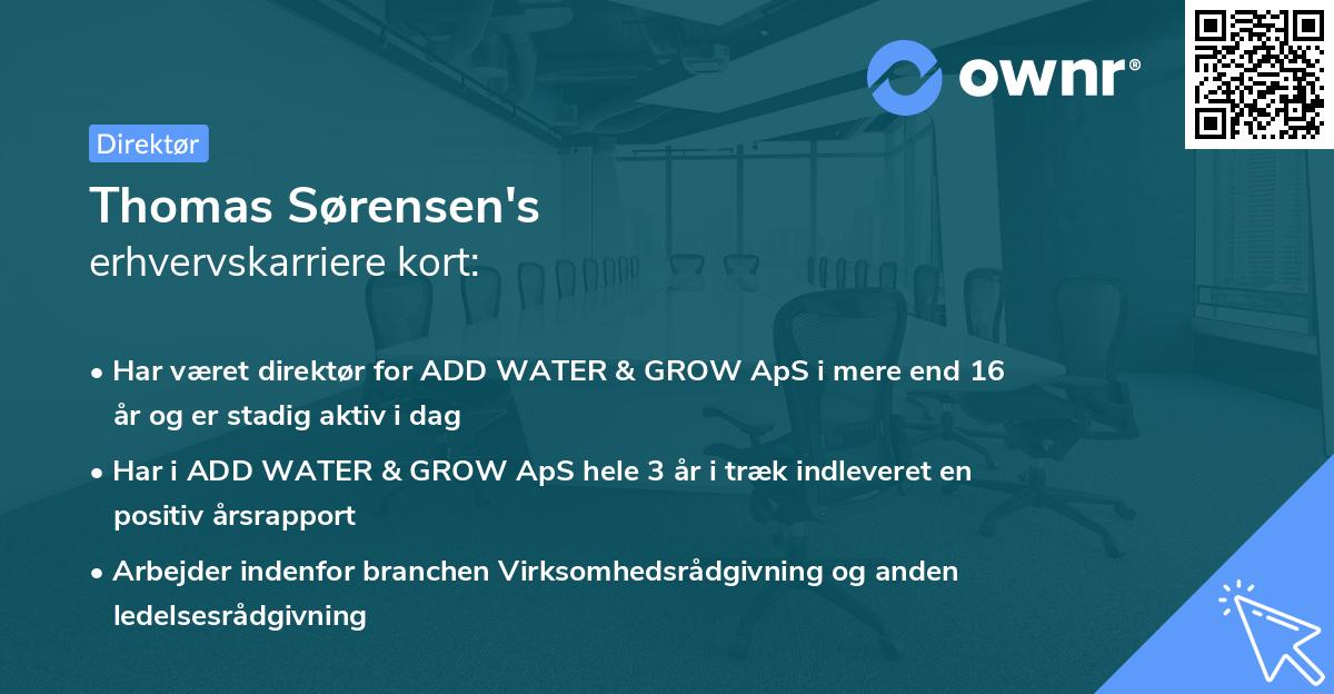 Thomas Sørensen's erhvervskarriere kort