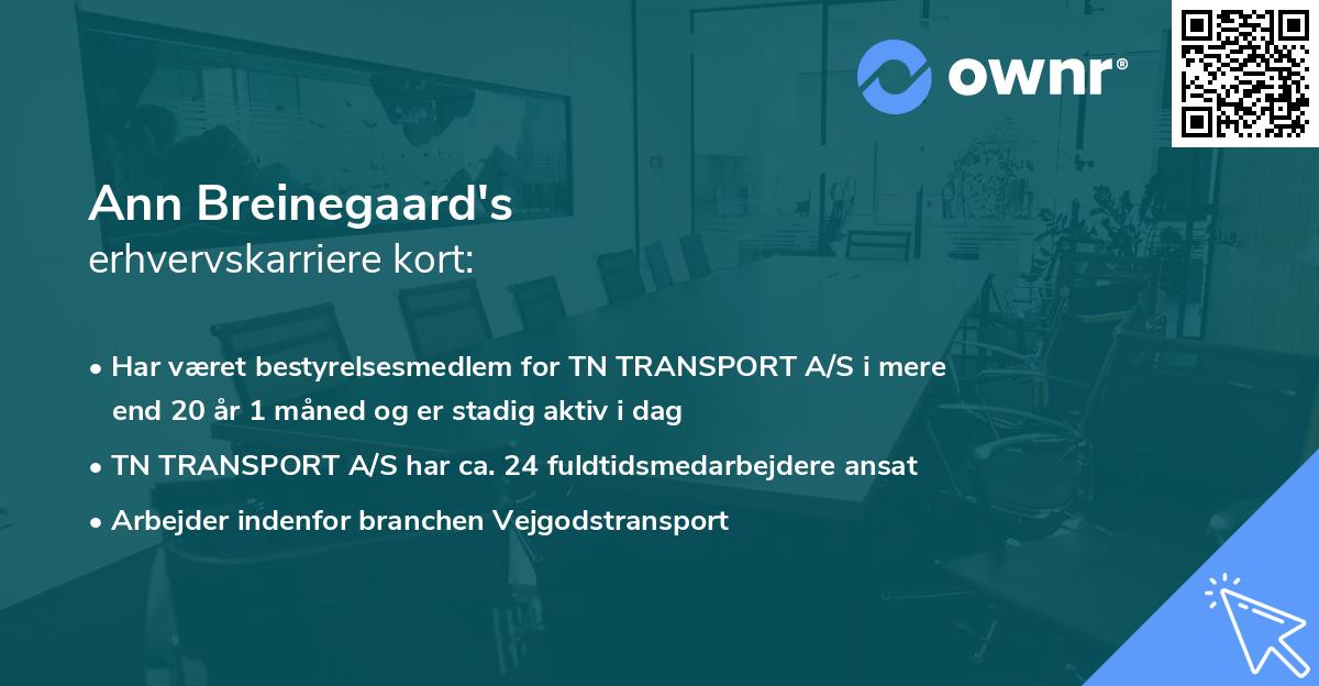 Ann Breinegaard's erhvervskarriere kort