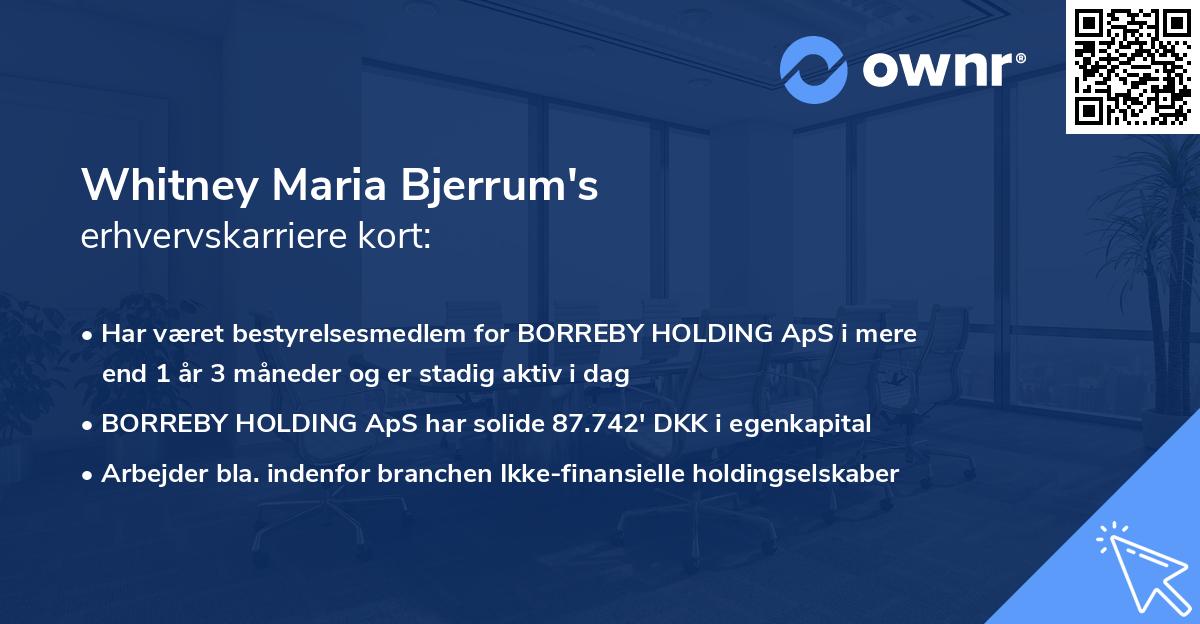 Whitney Maria Bjerrum's erhvervskarriere kort