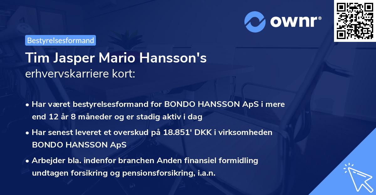 Tim Jasper Mario Hansson's erhvervskarriere kort