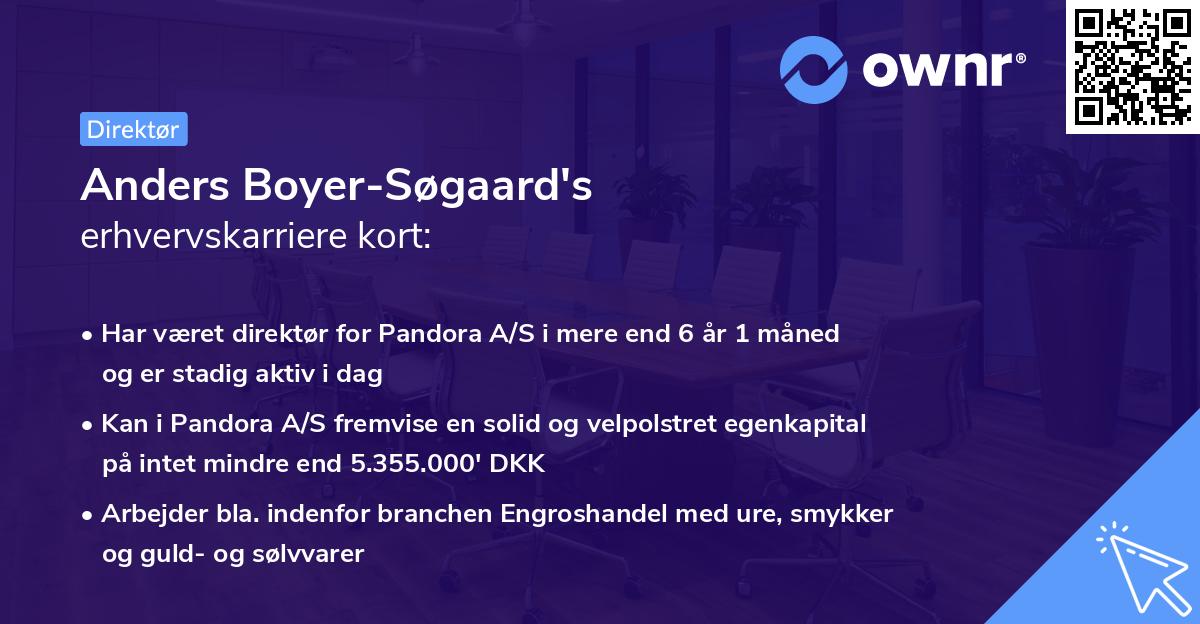 Anders Boyer-Søgaard's erhvervskarriere kort