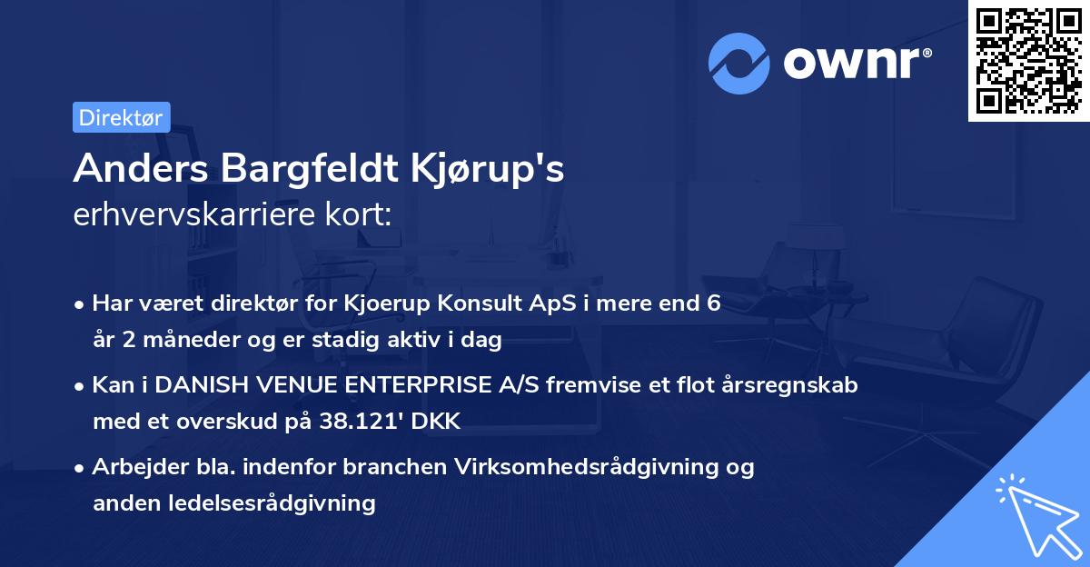 Anders Bargfeldt Kjørup's erhvervskarriere kort