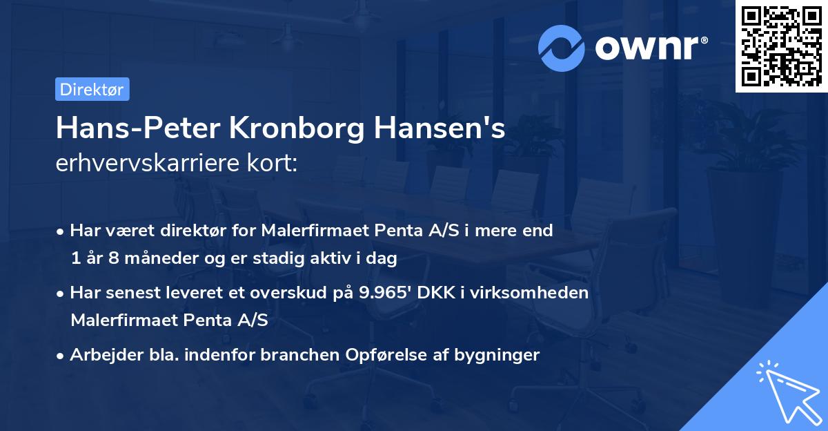 Hans-Peter Kronborg Hansen's erhvervskarriere kort