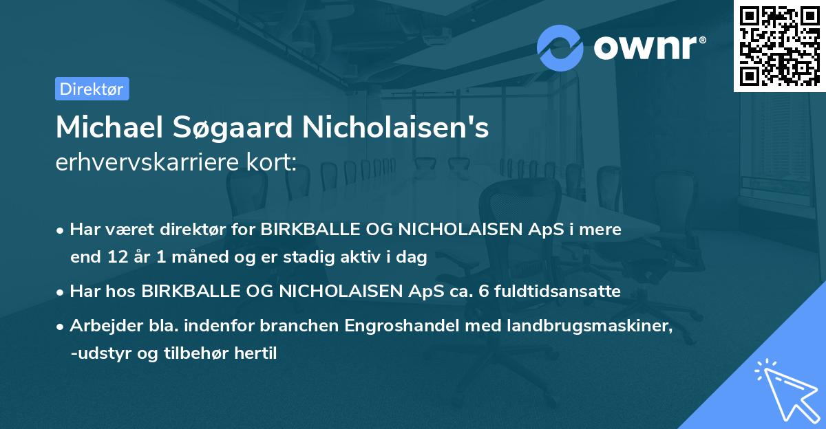 Michael Søgaard Nicholaisen's erhvervskarriere kort