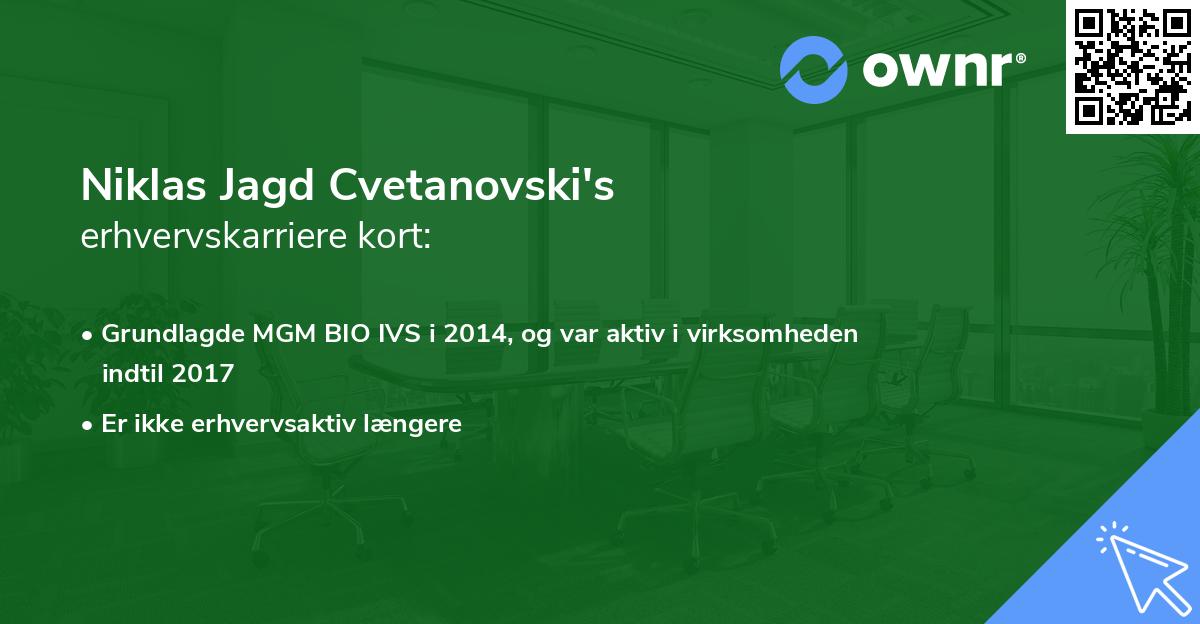 Niklas Jagd Cvetanovski's erhvervskarriere kort