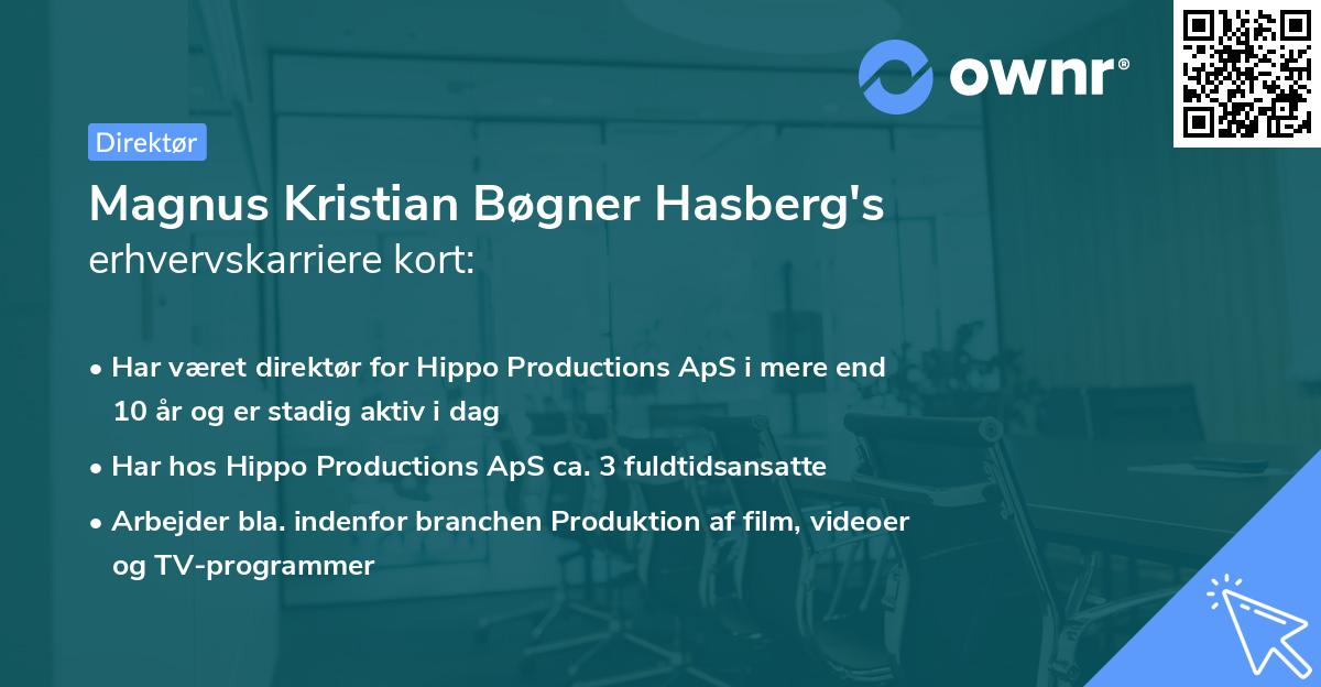 Magnus Kristian Bøgner Hasberg's erhvervskarriere kort