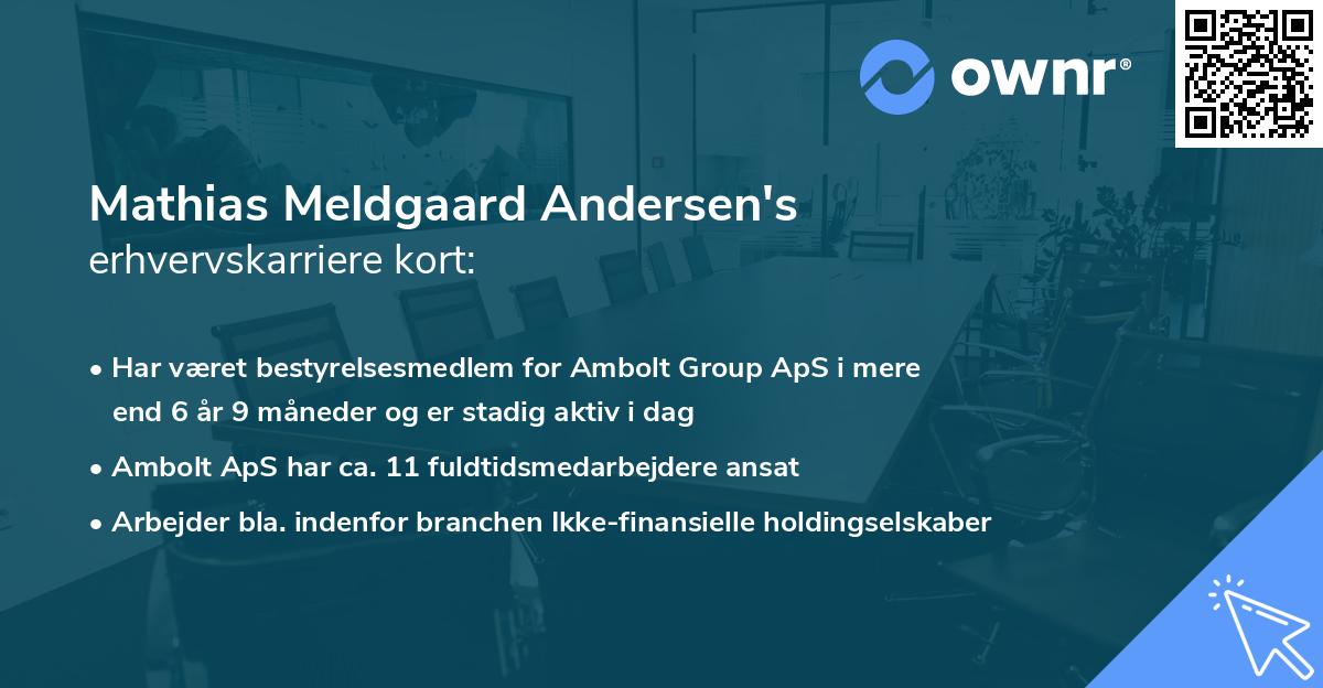 Mathias Meldgaard Andersen's erhvervskarriere kort