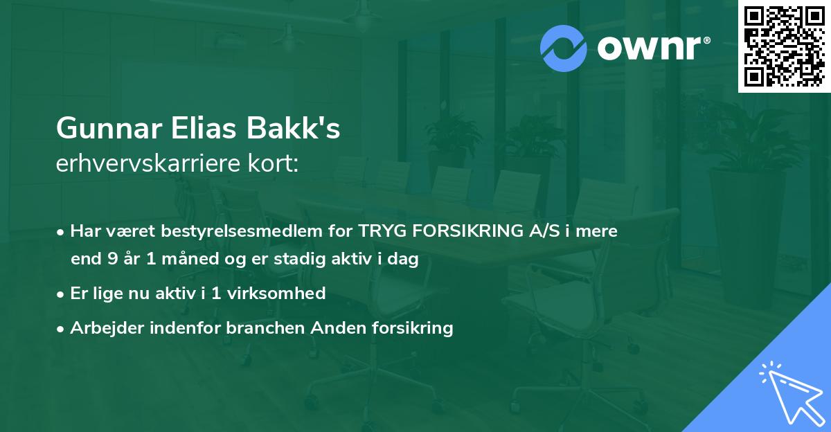 Gunnar Elias Bakk's erhvervskarriere kort